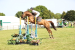 SBM_08975