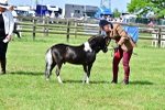 SBM_03673