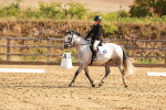 SBM_000428