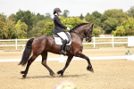 SBM_003686
