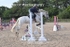 BPP_1188