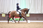 SBM_008951