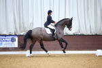 SBM_001410