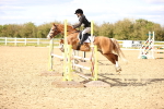SBM_003652