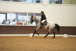 SBM_001924