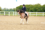 SBM_006434
