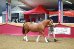 SBM_00527