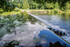 Stour Reflection