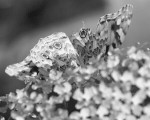 Slow Photography portfolio