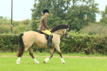 SBM_71833