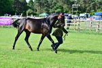 SBM_00948