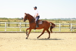 SBM_000559