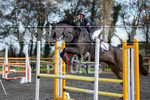 Senior Showjumping_10-11-2019-28