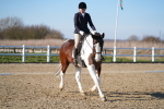 SBM_004393