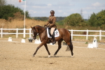 SBM_009611