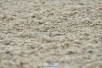 230708A-120816-02731