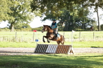 SBM_12099_E6 - Eventers Challenge 80cm Championship