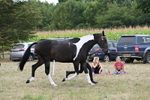 WJ6_5650