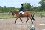 BPP_9319
