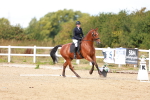 SBM_011798