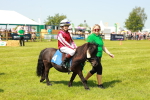 SBM_04725