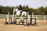 SBM_03529