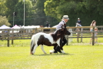 SBM_01965