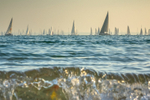 z3256 Racing at Cowes