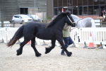 SBM_003979