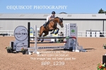 BPP_1239
