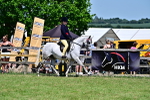 SBM_17537
