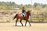 SBM_003539