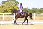 SBM_006603