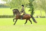 SBM_72001