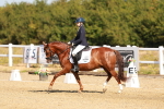 SBM_016798