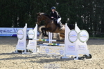 8 British Novice 90cm Open portfolio