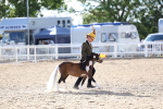 Class 319 - IH Miniature Horse portfolio