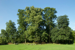 JULY 2014  -13