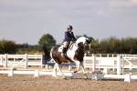 SBM_08031