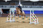 SBM_001860