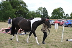 WJ6_5177