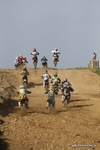 MX 101010 226