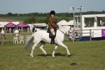 SBM_09698
