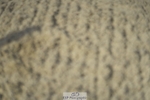 230909-100312-04766