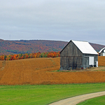 Two Barns _ Autumn in New Brunswick Canada Fall Foliage