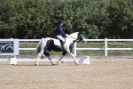 SBM_001206