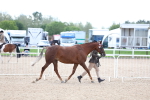 SBM_15344