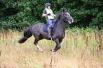 WJ6_2107