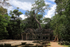 Ta Prohm, Siem Reap, Cambodia