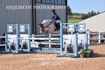 BPP_1247